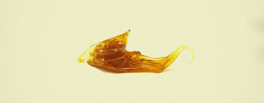 Extracción con glicerina vegetal Extracción con glicerina vegetal