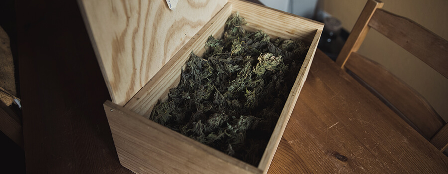 Almacenar Correctamente Su Cannabis