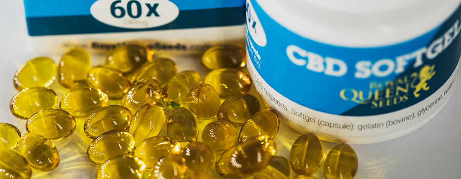 Cápsulas De Gel Con Aceite CBD Royal Queen Seeds Soft Cápsulas De Gel Con Aceite CBD Royal Queen Seeds Soft