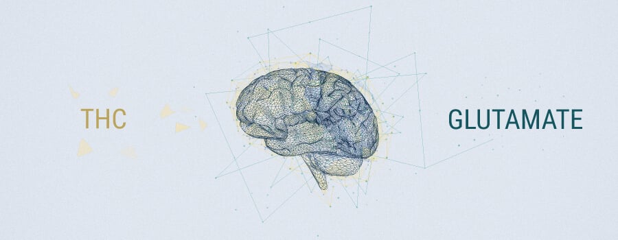 Neurotransmisores Y Cannabis