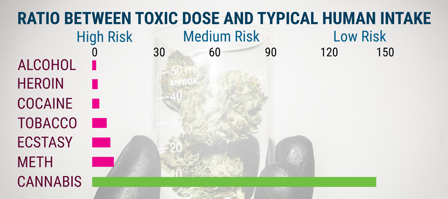 Ciencia cannabis estudio toxicidad Ciencia cannabis estudio toxicidad