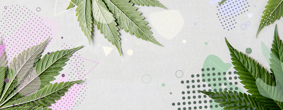 Terpenos y Cannabis