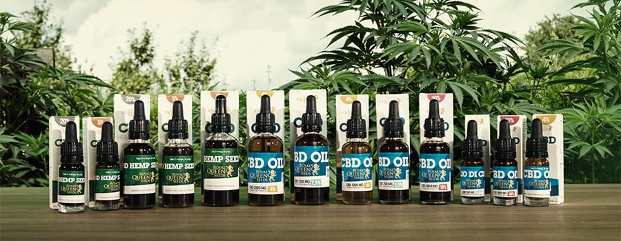 ¿QUÉ ES EL ACEITE DE CBD?