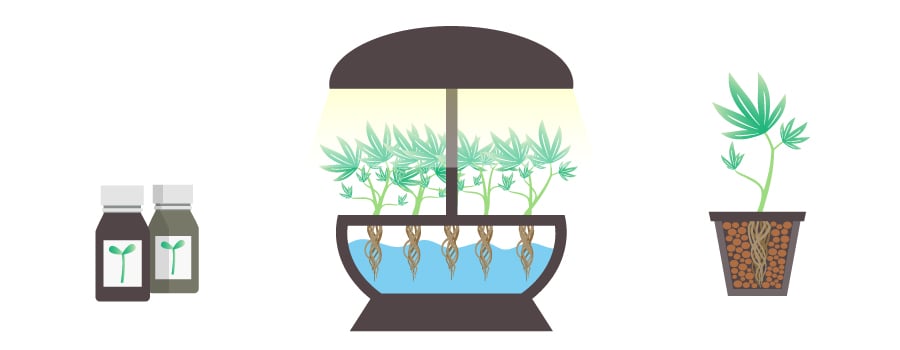 Nutrientes Cultivo Hidropónico Cannabis