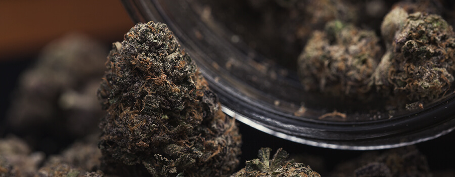 Tarro De Cannabis Para Almacenarlo