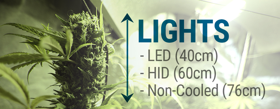 luces led, HID y luces que irradian calor en cultivo de cannabis luces led, HID y luces que irradian calor en cultivo de cannabis