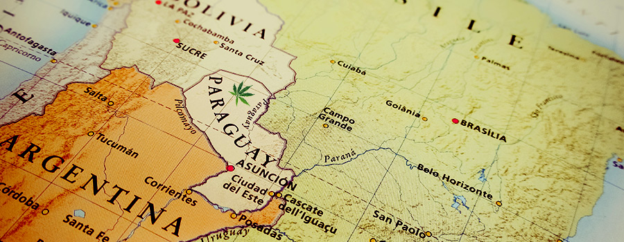 Paraguay Sudamérica Legislación Cannabis Paraguay Sudamérica Legislación Cannabis