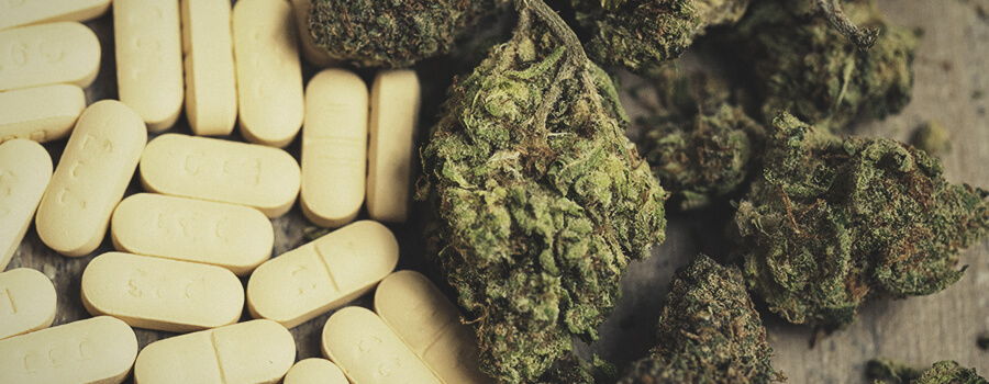 Ibuprofeno Vs Cannabis Para Combatir La Inflamación Ibuprofeno Vs Cannabis Para Combatir La Inflamación