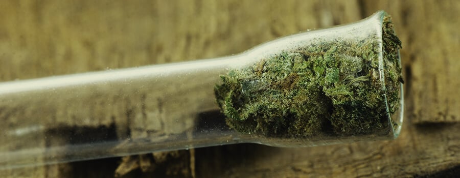 One-Hitter Pipe Full of Cannabis
