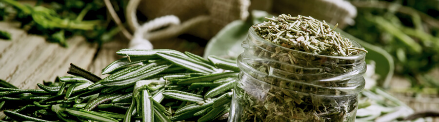 Rosemary Rosemary
