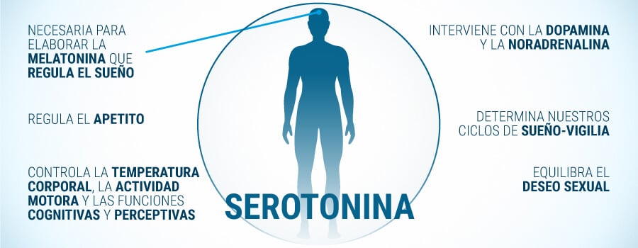 Serotonina Y Sus Efectos En El Cuerpo Humano