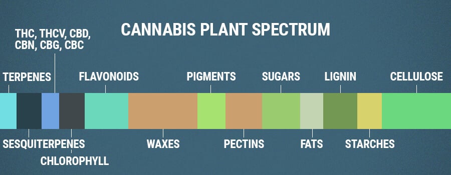 Flavonoides Del Espectro De Plantas De Cannabis