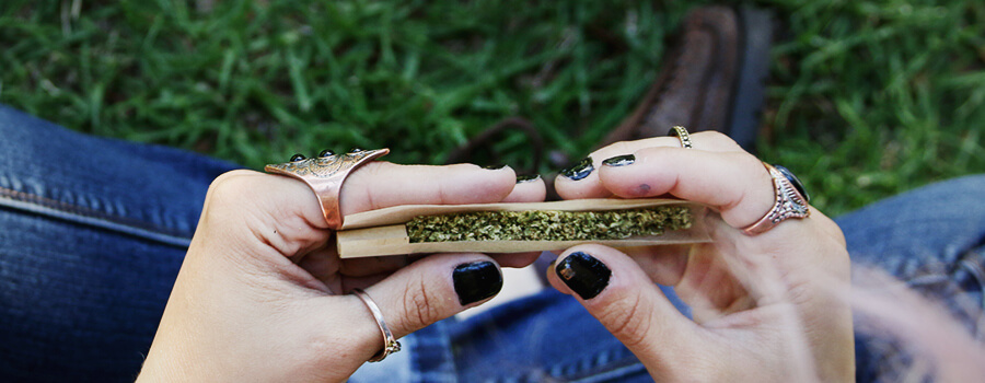 Cannabis Marihuana Porro
