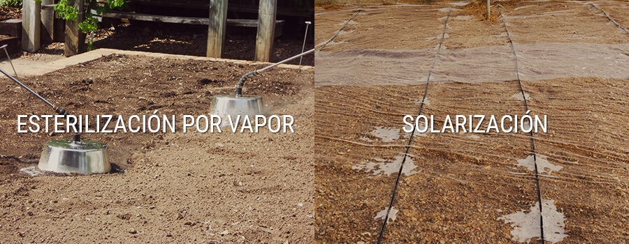 Esterilización Por Vapor Y Solarización Esterilización Por Vapor Y Solarización