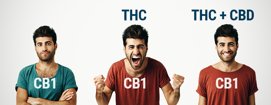 OMS THC y CBD