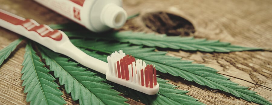 Cepille Sus Dientes Con Cannabis