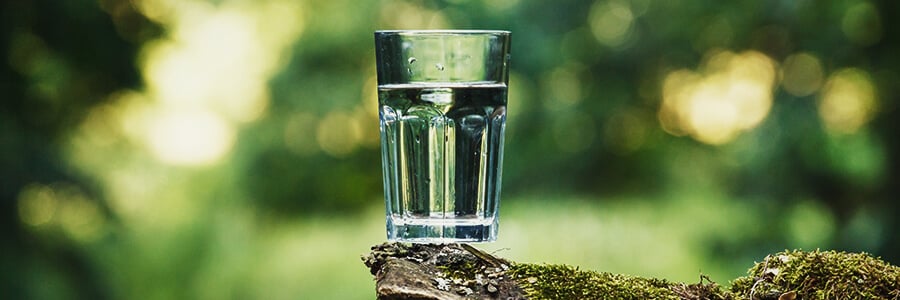 Vaso De Agua Como Desintoxicante Para El Cannabis