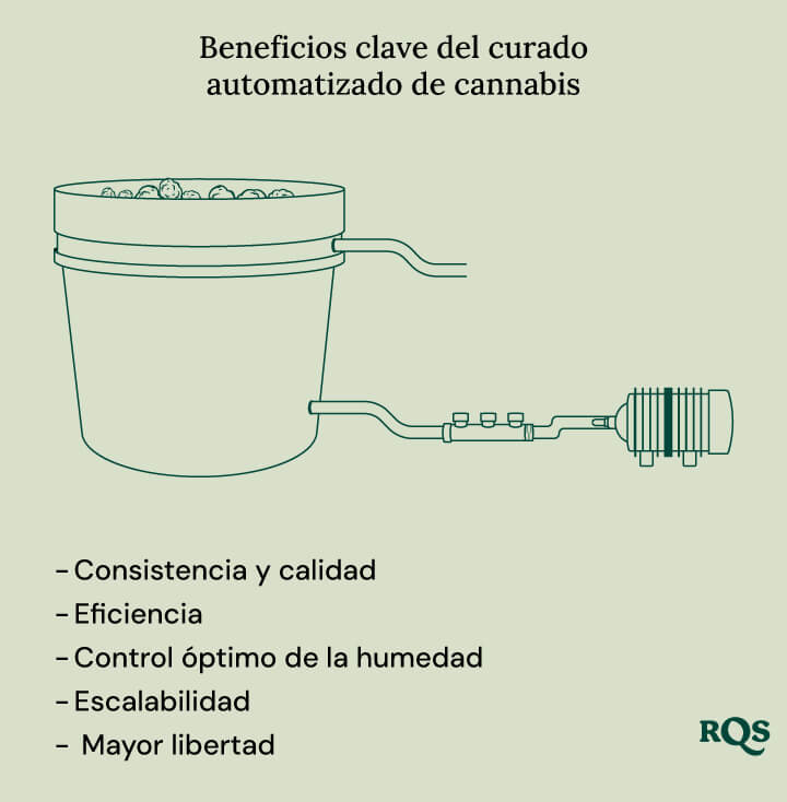 Key benefits of automated cannabis curing