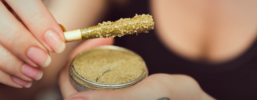 Marihuana kief cannabis