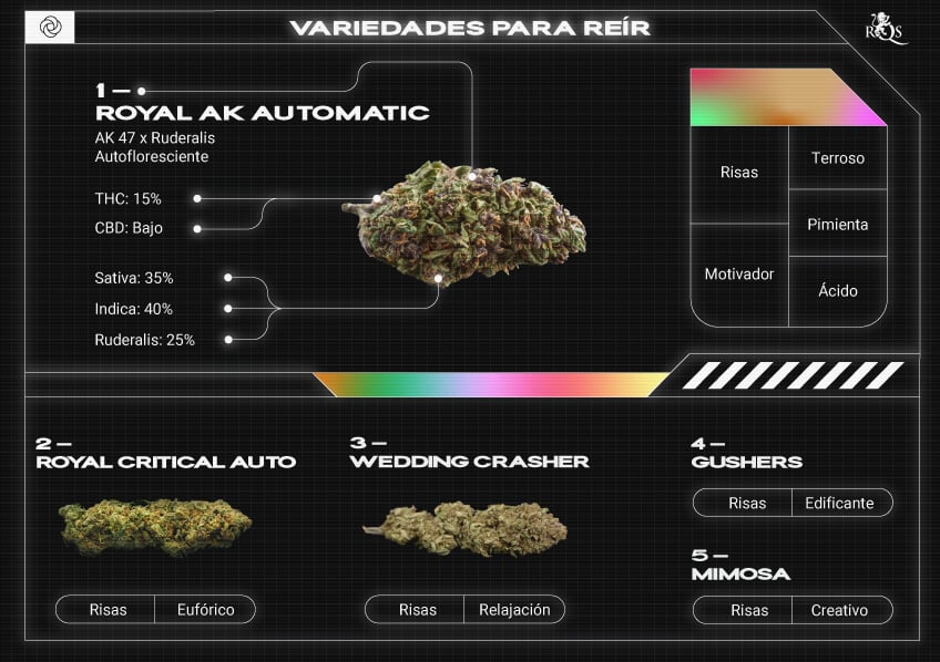 Top RQS Strains for Laughter