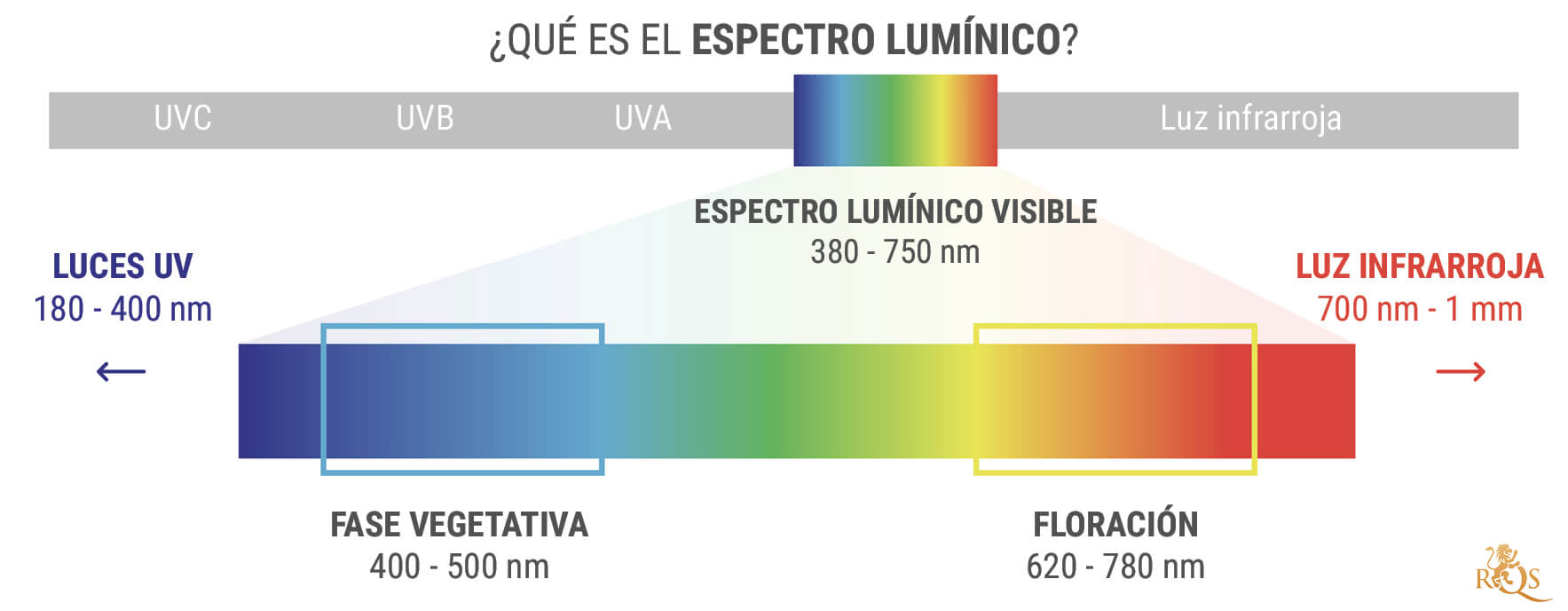 ¿Qué es el espectro lumínico?