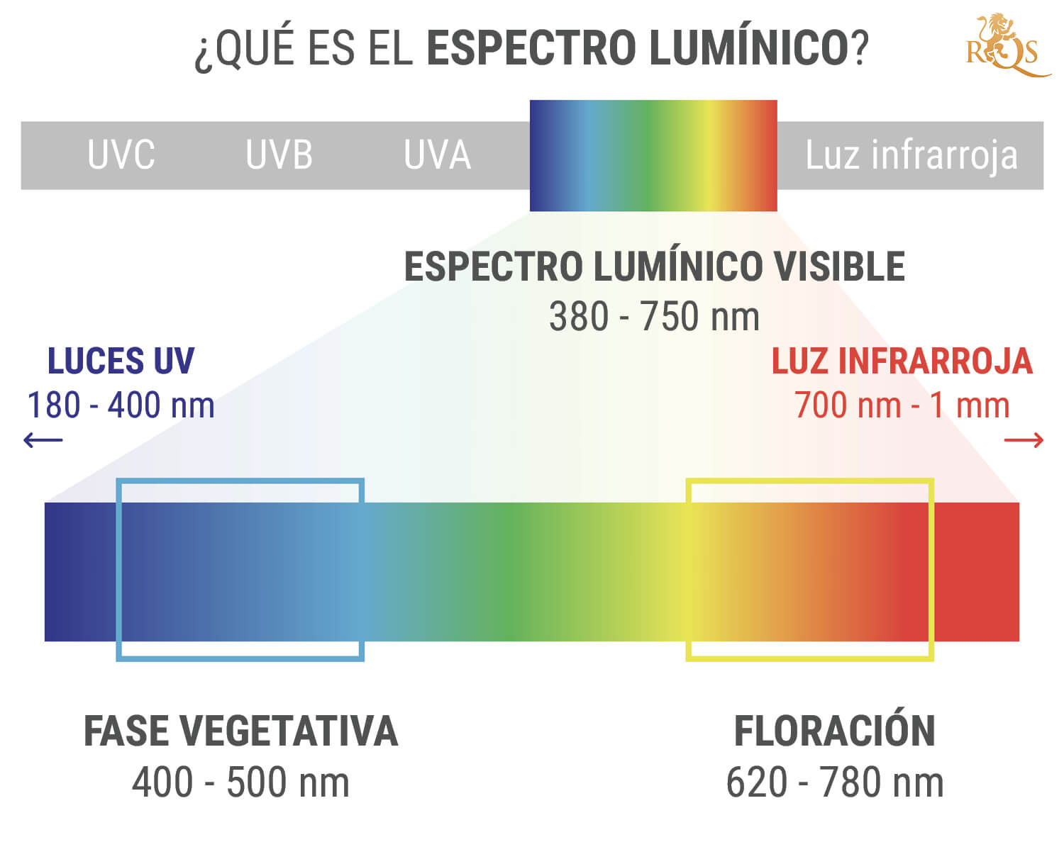 ¿Qué es el espectro lumínico?
