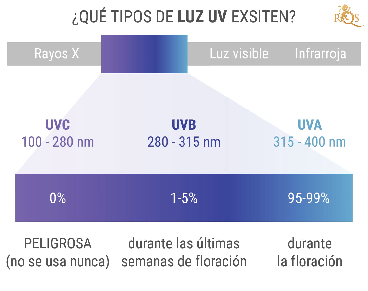 ¿Qué tipos de luz ultravioleta existen?