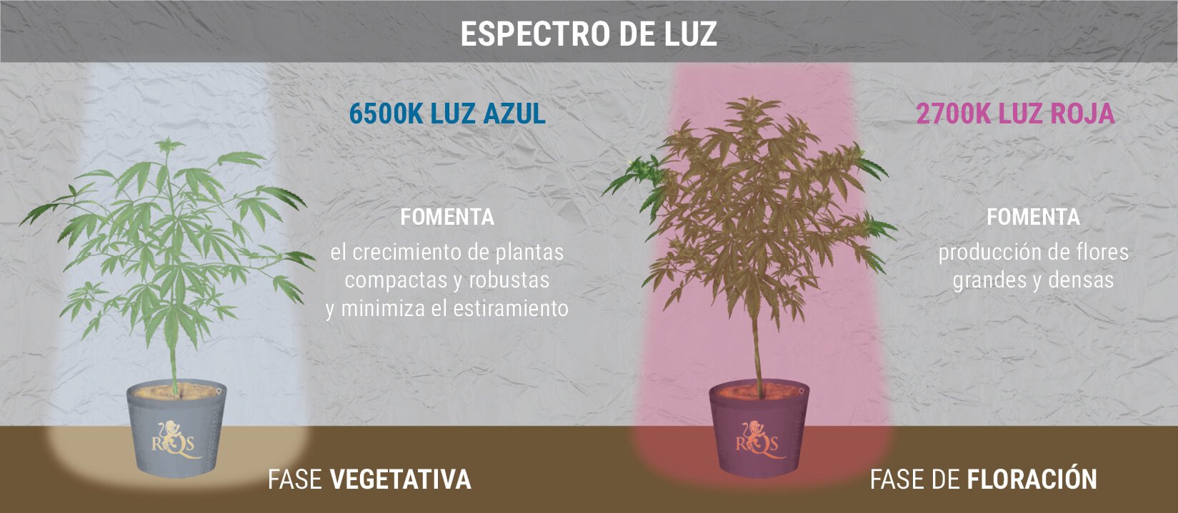 UN APUNTE SOBRE EL ESPECTRO DE LUZ