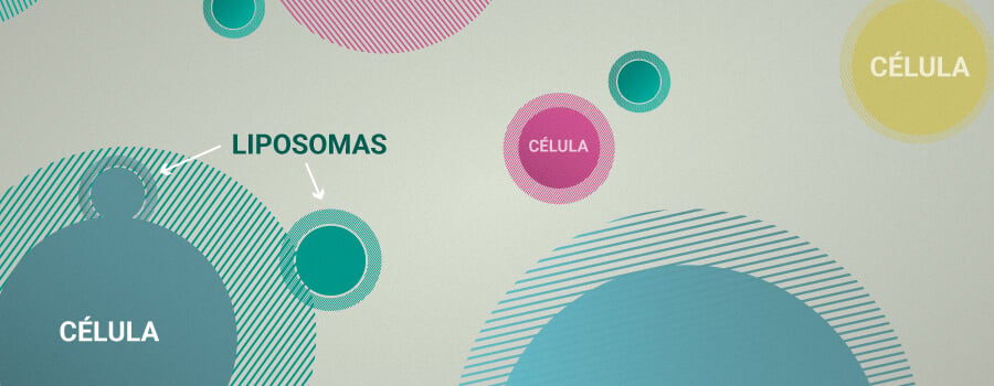 Liposomas Para La Entrega De CBD