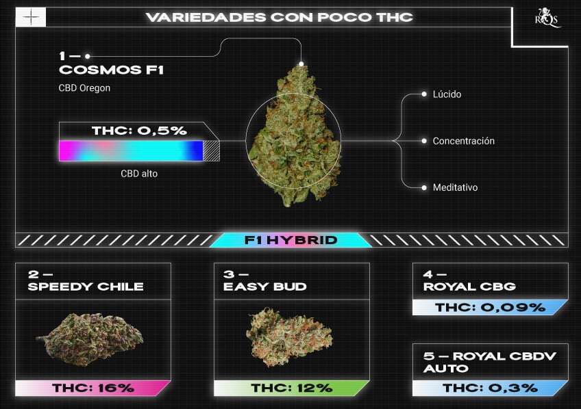 Top RQS Low THC Strains