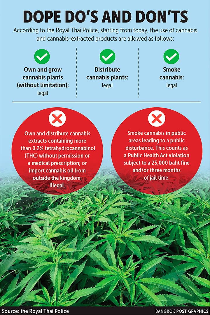 Step 1Nuevas leyes del cannabis tailandesas: un análisis rápido