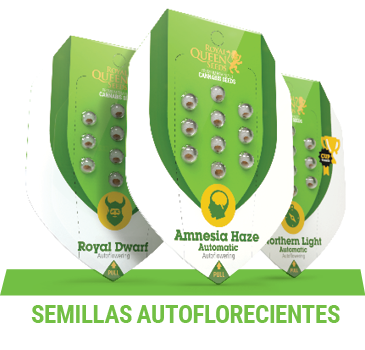 semillas-cannabis-autoflorecientes