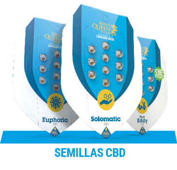 semillas-cannabis-cbd