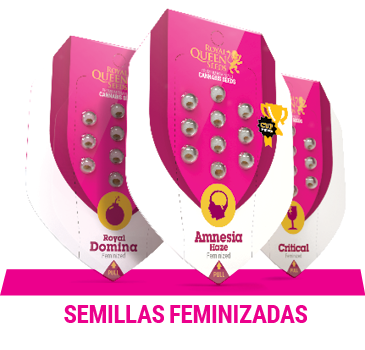 semillas-cannabis-feminizadas