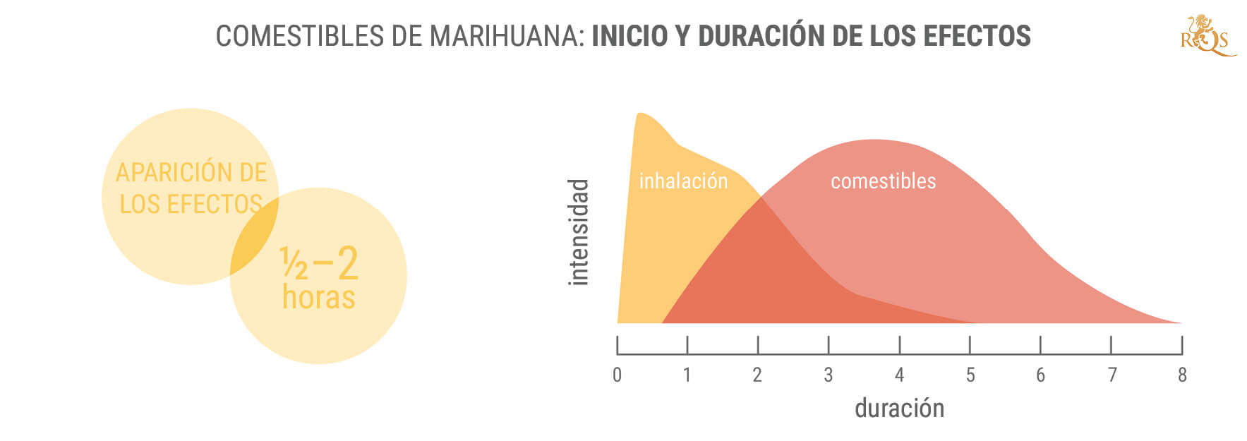 Beneficios del 11-hidroxi-THC y los comestibles