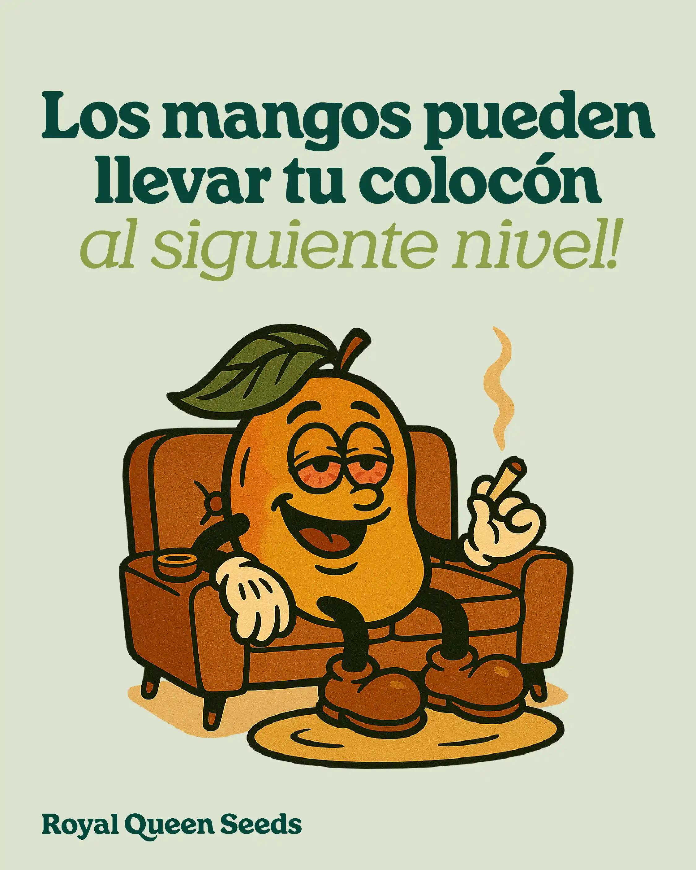 mango colocón