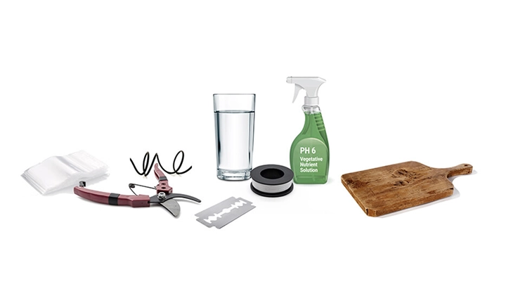 Material para injertar cannabis con tijeras de poda, cuchilla de injerto, film, agua, solución nutritiva pH 6 y una tabla de madera.