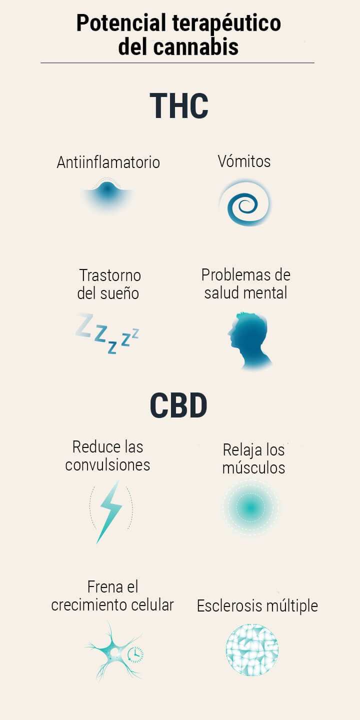 Semillas de cannabis medicinal Semillas de cannabis medicinal
