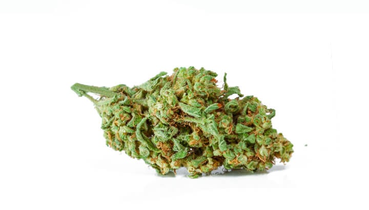 ¿Qué es la marihuana de calidad media? ¿Qué es la marihuana de calidad media?