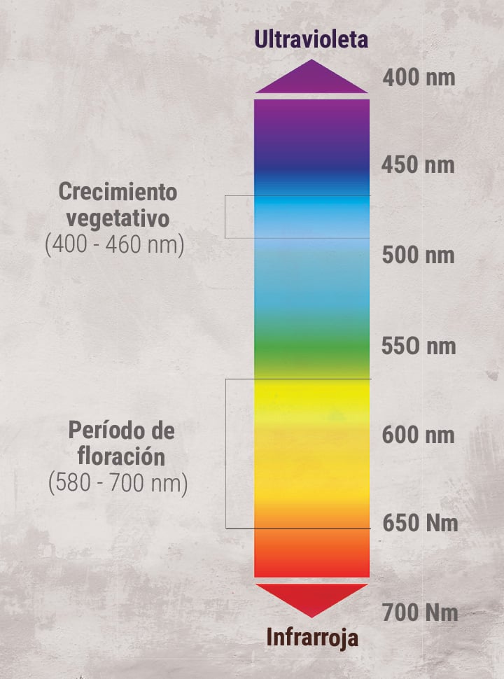 Cuántos Focos Led por Metro Cuadrado