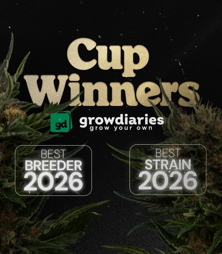 Banner de premios cannabis Cup Winners 2026 mostrando la mejor variedad y el mejor breeder con cogollos de cannabis y el logo de GrowDiaries