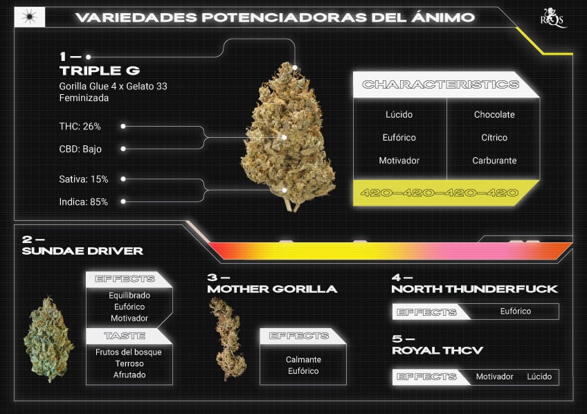 Top RQS Mood-Enhacing Strains