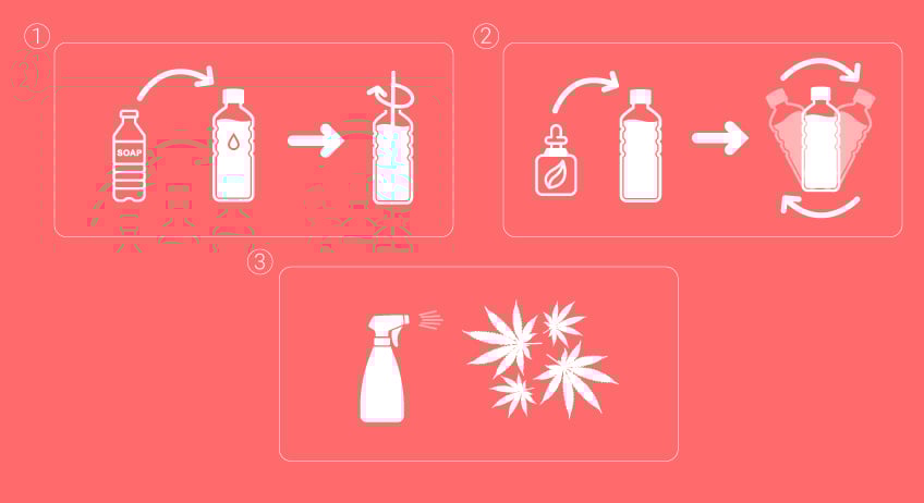 Mixing Neem Oil and Insecticial Soap Mixing Neem Oil and Insecticial Soap