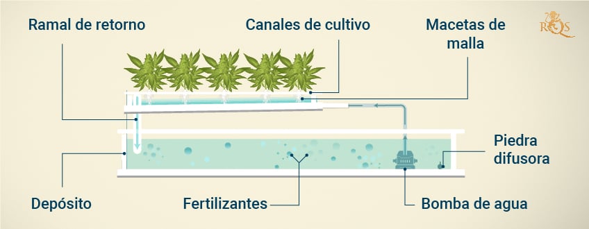 Nutrient Film Technique (NFT) Hydroponic System