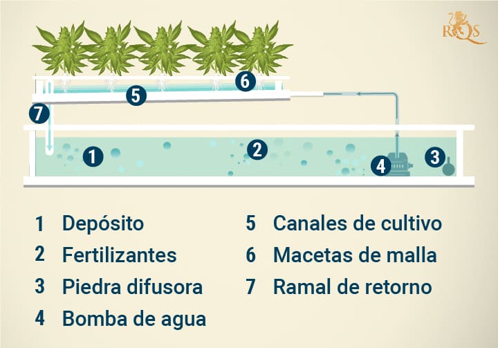 Nutrient Film Technique (NFT) Hydroponic System