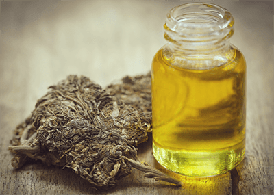 Cannabis Aceite Oliva Vegano Receta Sin Gluten Pesto