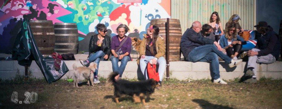 Hemp Fest 2017 Milan im Freien