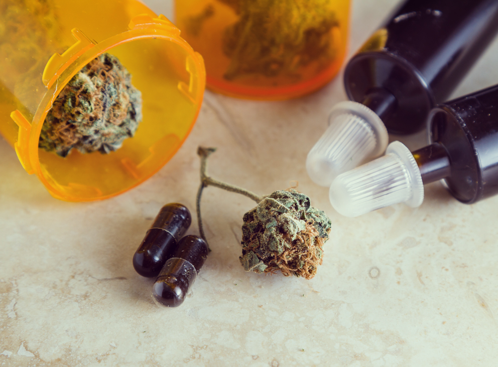 endocannabinoid system CBD irritable bowel