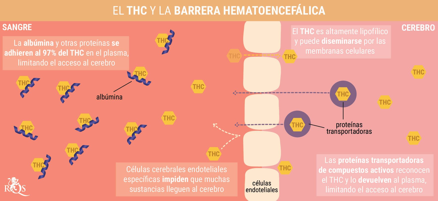 ¿Qué es la resaca de cannabis?