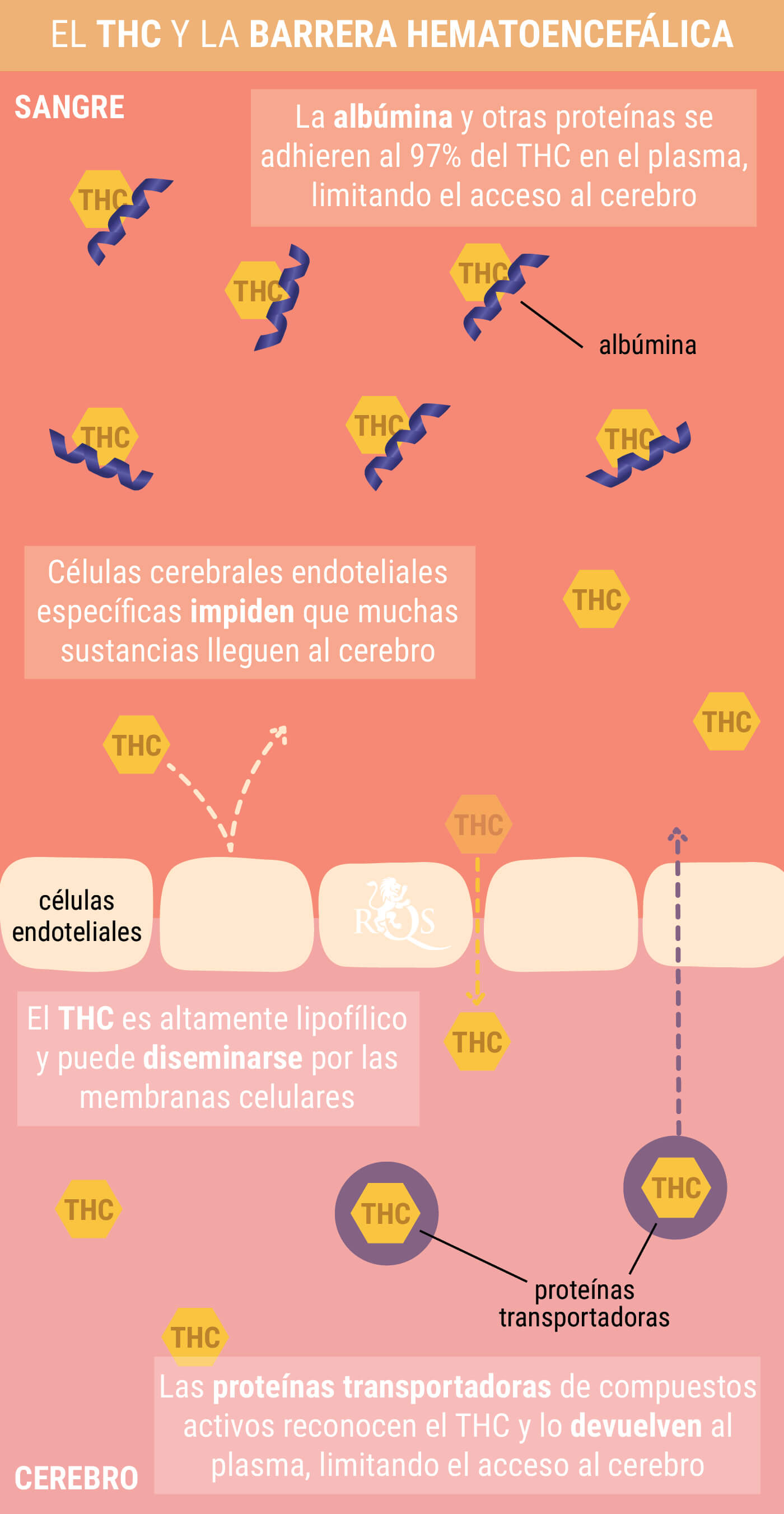 ¿Qué es la resaca de cannabis?